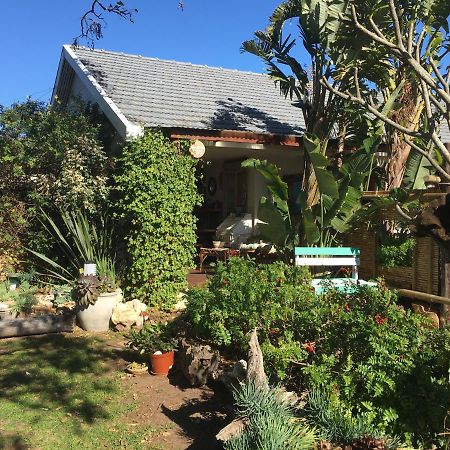 Amor Da Vida Port Elizabeth Zewnętrze zdjęcie