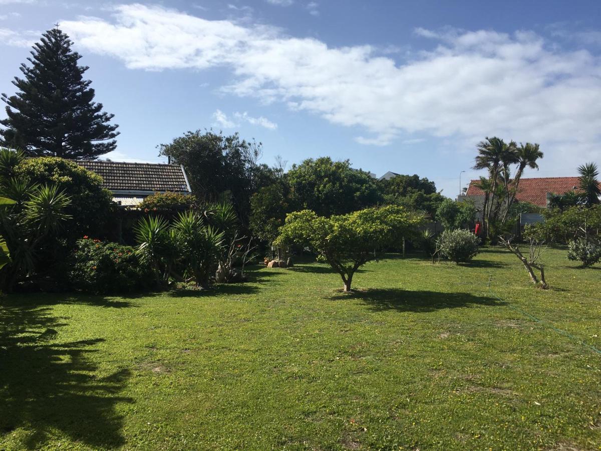 Amor Da Vida Port Elizabeth Zewnętrze zdjęcie