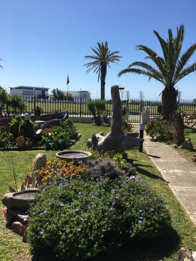 Amor Da Vida Port Elizabeth Zewnętrze zdjęcie