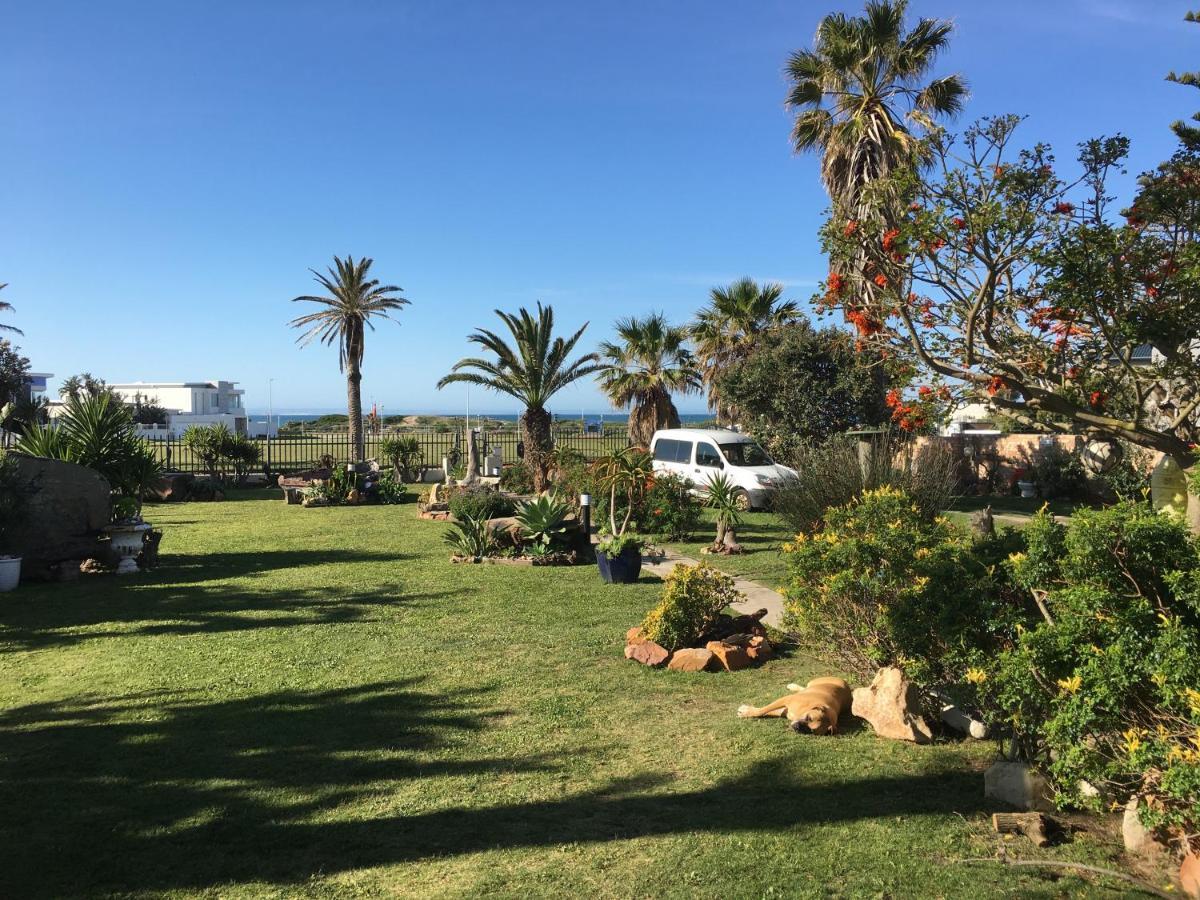 Amor Da Vida Port Elizabeth Zewnętrze zdjęcie
