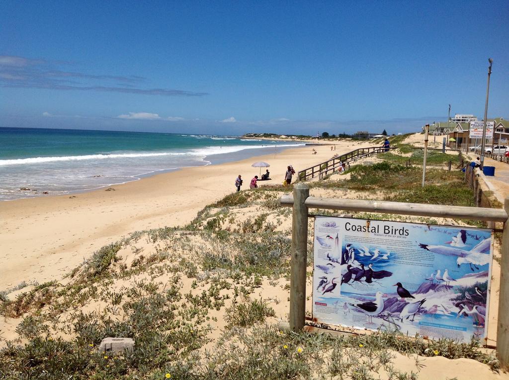 Amor Da Vida Port Elizabeth Zewnętrze zdjęcie