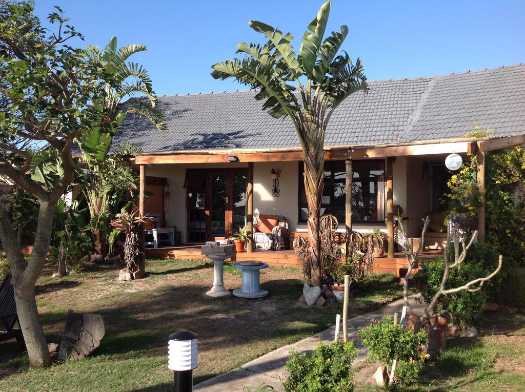 Amor Da Vida Port Elizabeth Zewnętrze zdjęcie